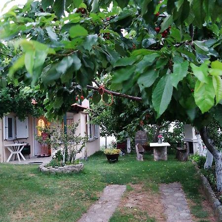 Meteora'S Sunset Apartment Kalambaka Exterior photo